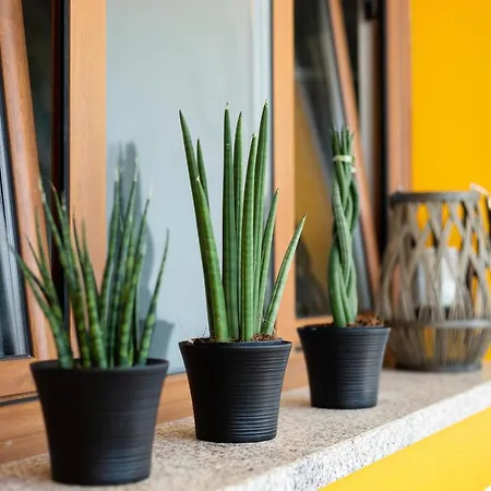 Bed & Breakfast Porto D'abrigo - Local Sardoal