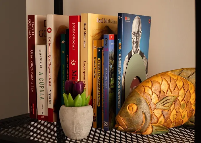 Porto D'abrigo - Local